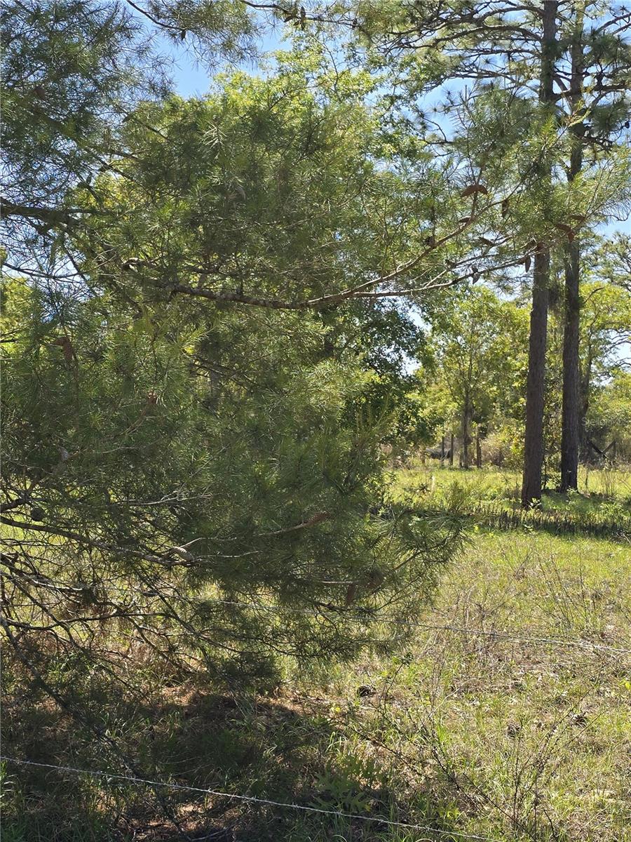 Image 13 of 15 For 00 129th Avenue