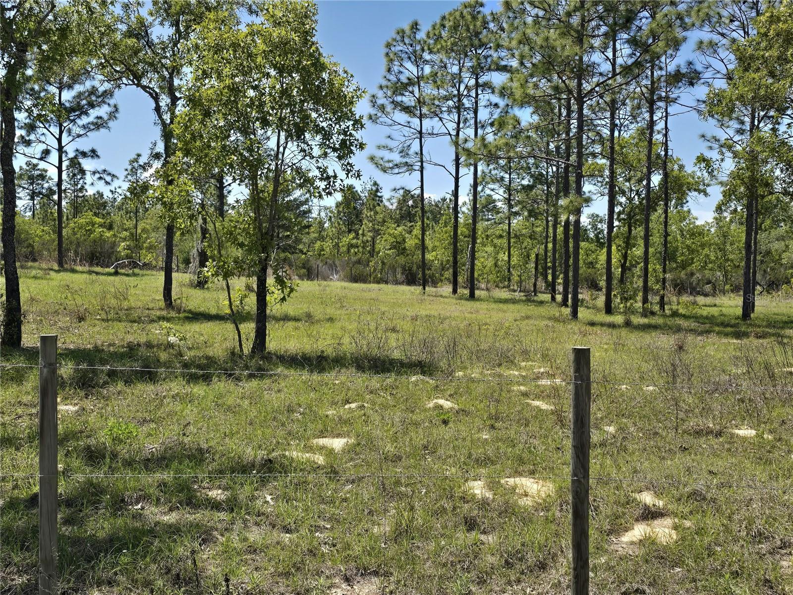 Image 6 of 15 For 00 129th Avenue