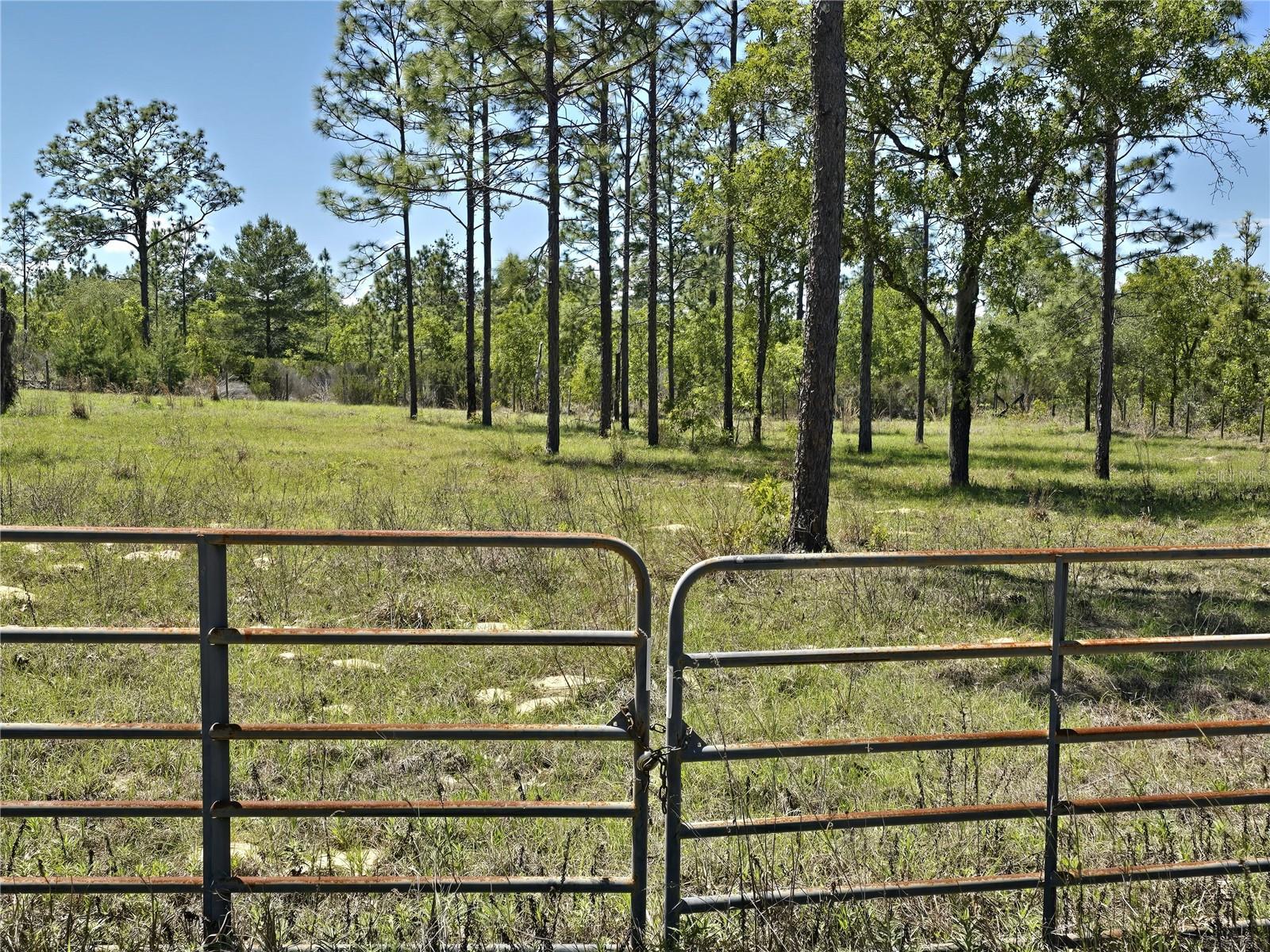 Image 7 of 15 For 00 129th Avenue