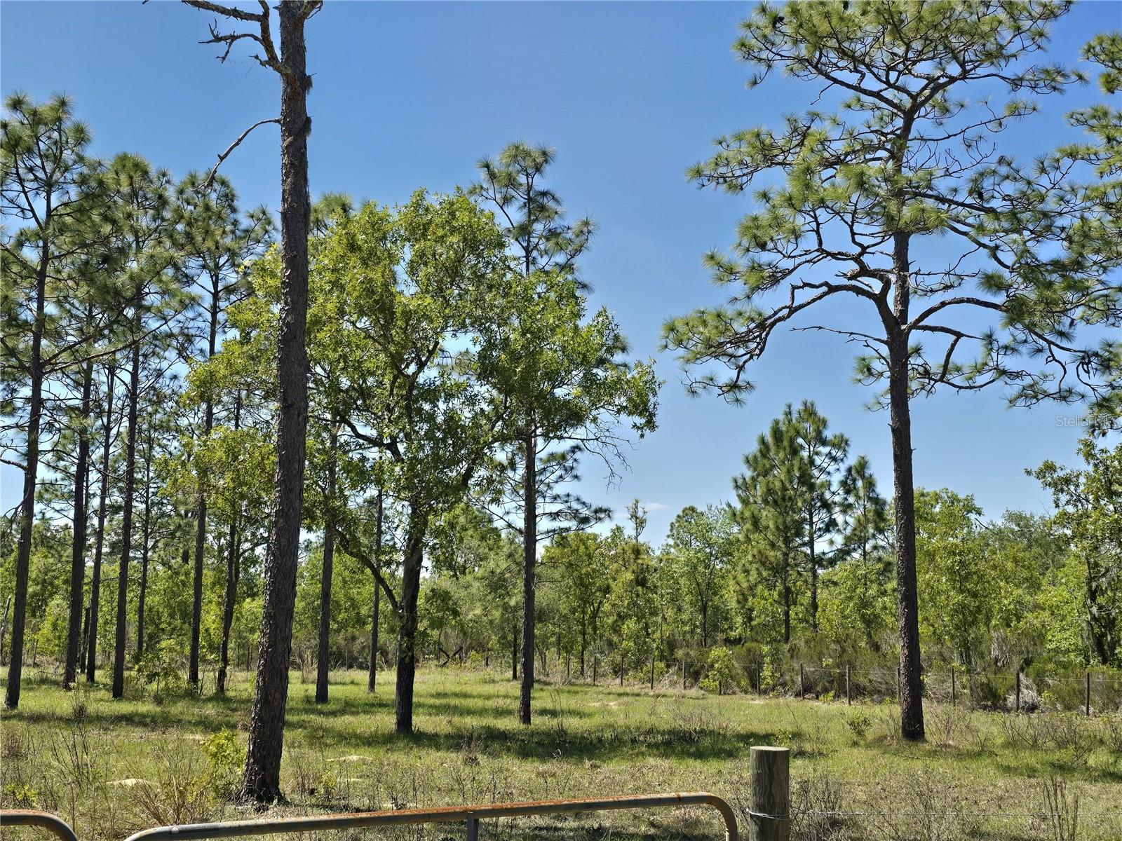 Image 9 of 15 For 00 129th Avenue