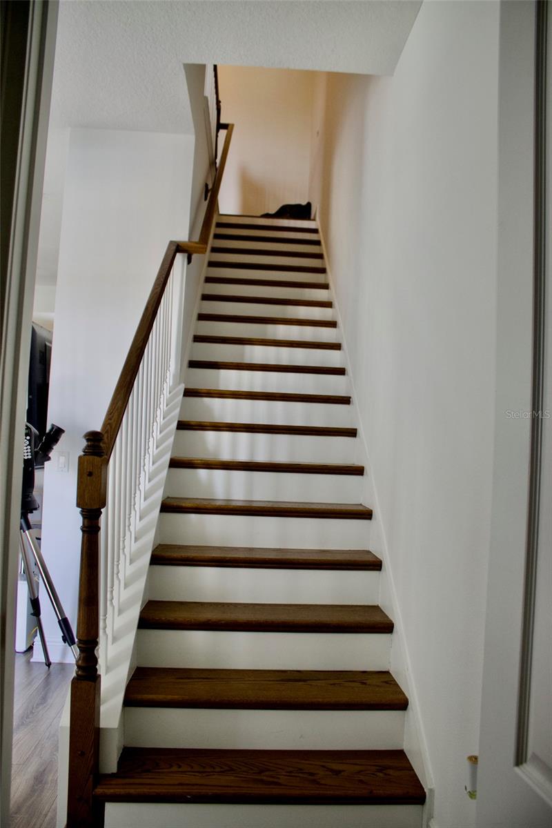 Image 14 of 22 For 2506 Jacqueline Suglio Alley