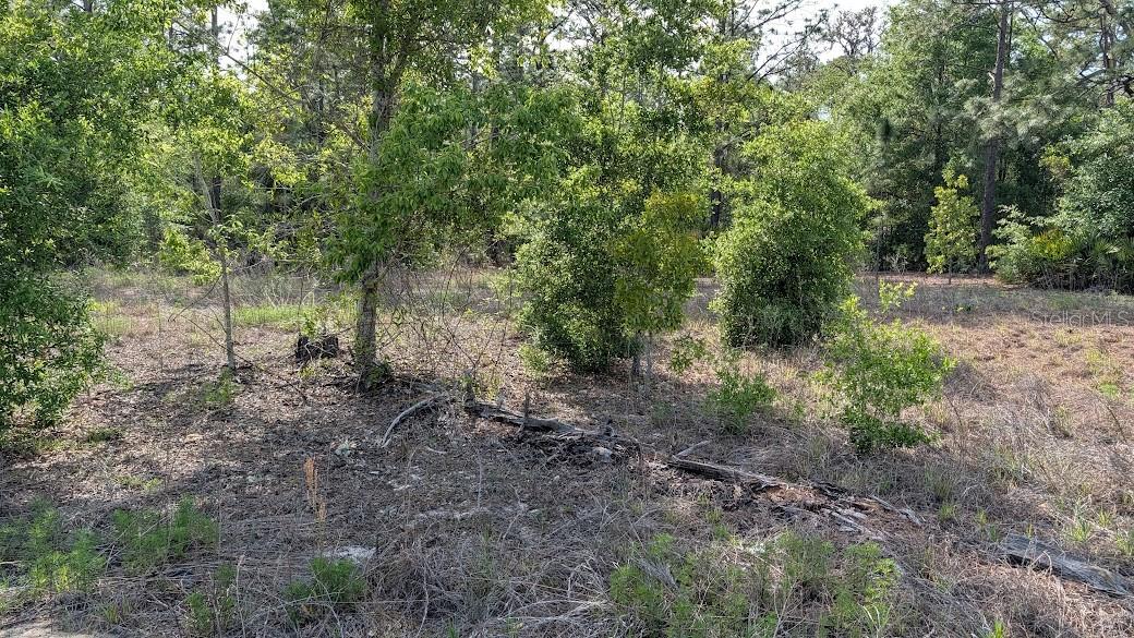 Image 2 of 11 For Lot 88 152 Nd Court