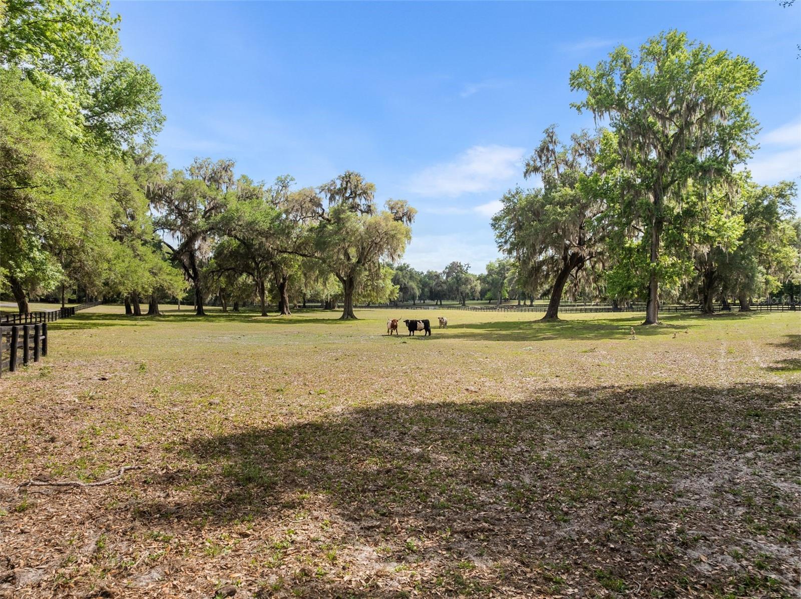 Image 50 of 94 For 17995 24th Terrace