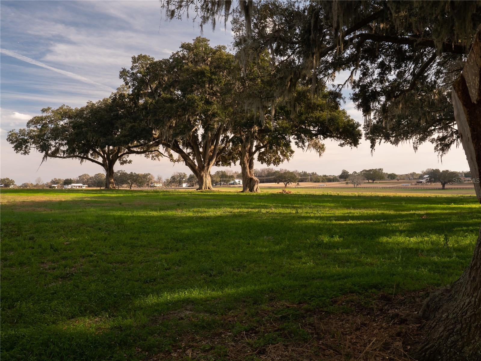 Image 5 of 9 For Tbd Gainesville Road