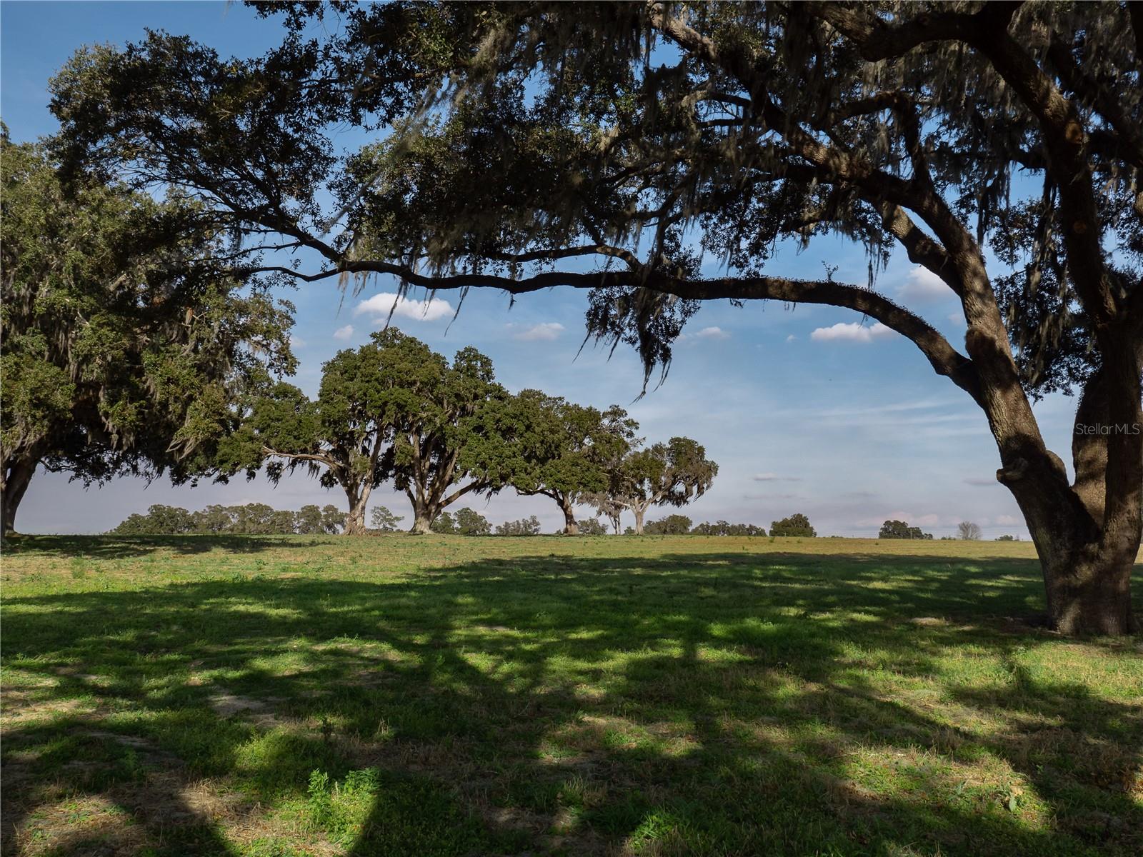 Image 6 of 9 For Tbd Gainesville Road