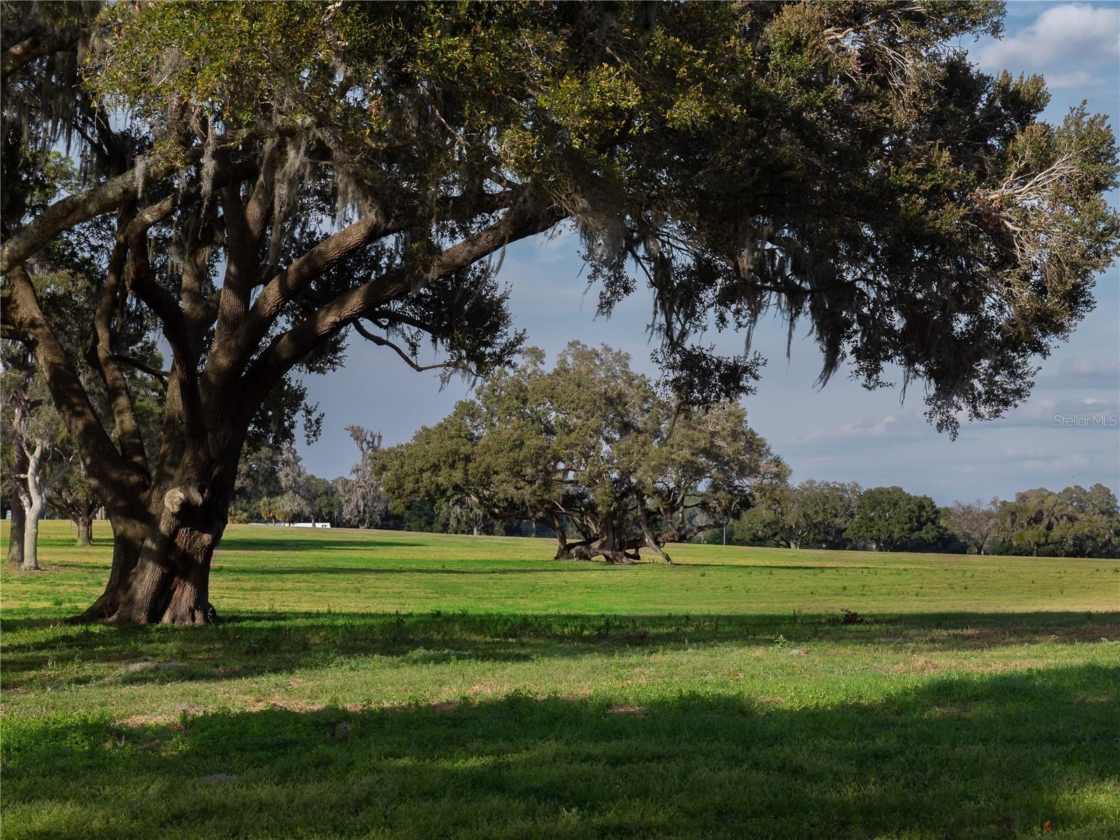 Image 8 of 9 For Tbd Gainesville Road