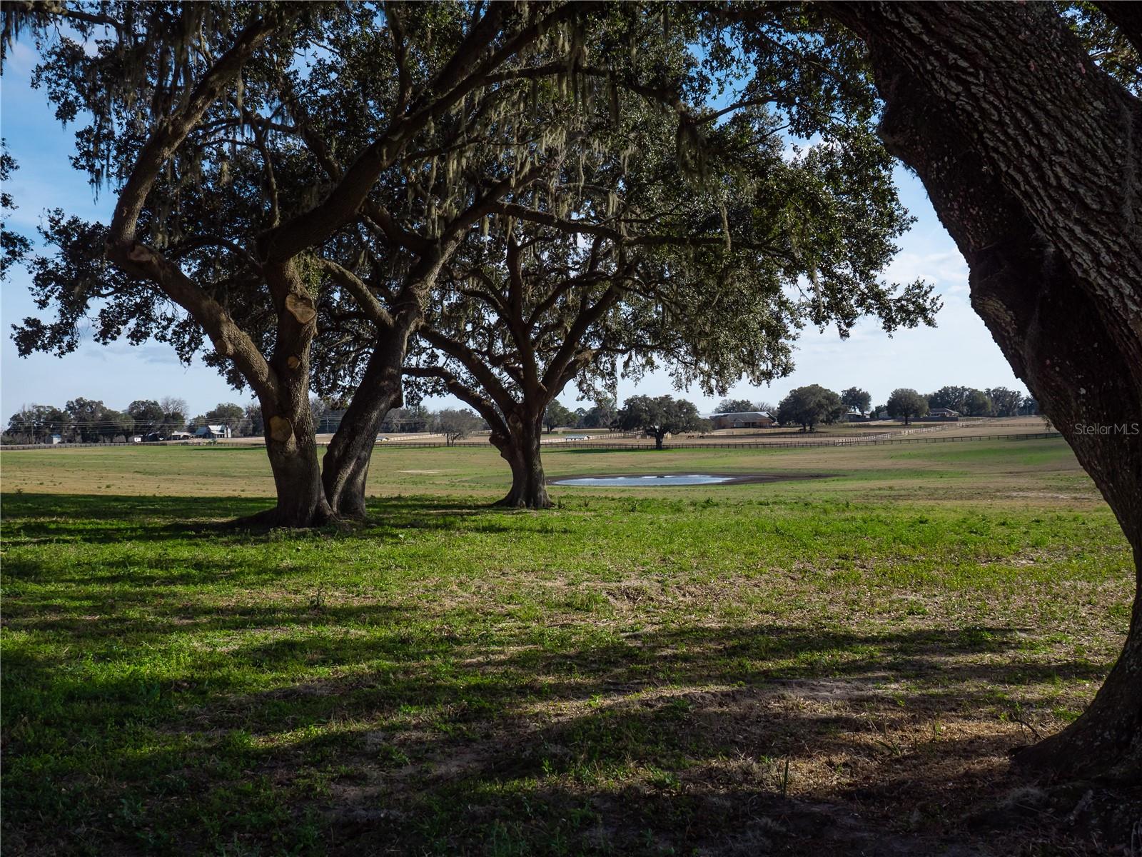 Image 9 of 9 For Tbd Gainesville Road