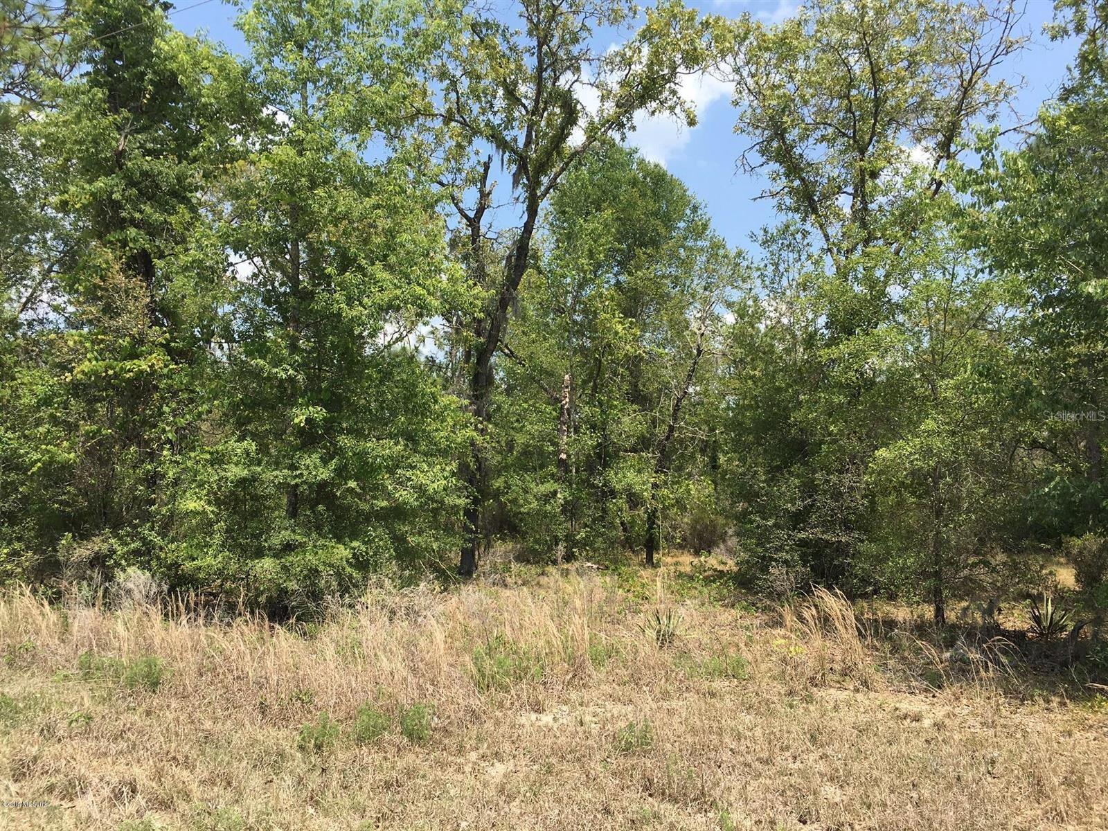 Image 2 of 4 For 7231 136th Avenue