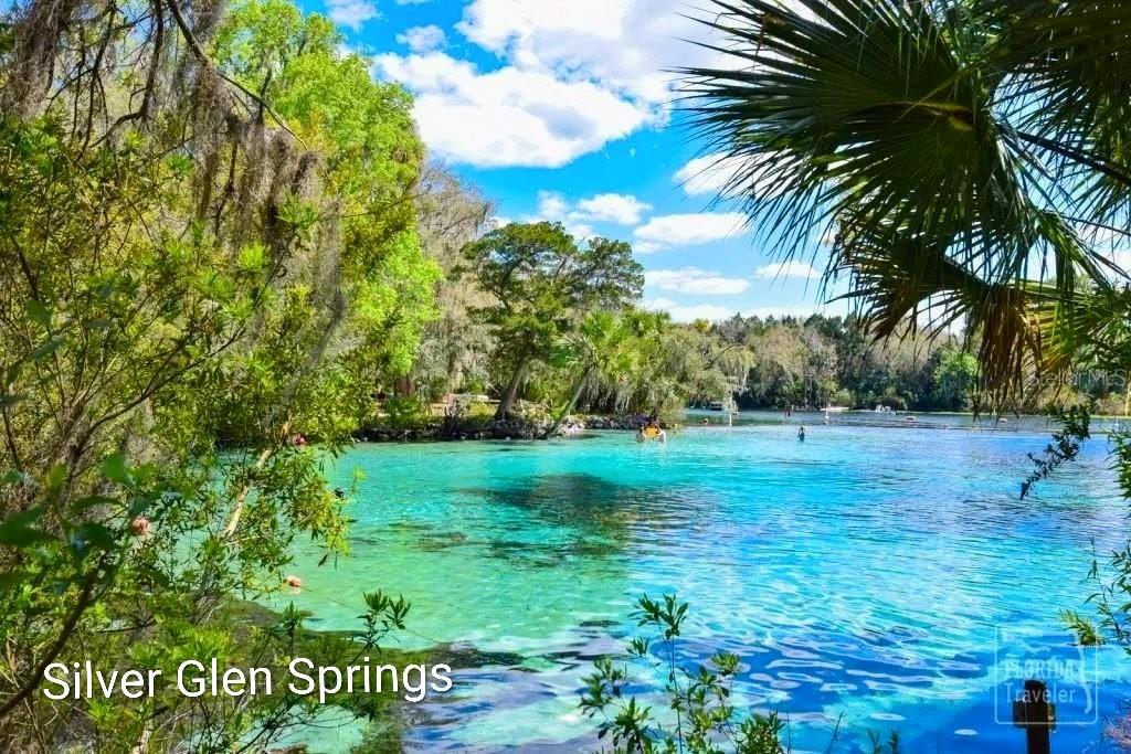 Image 42 of 73 For 13261 155th Lane