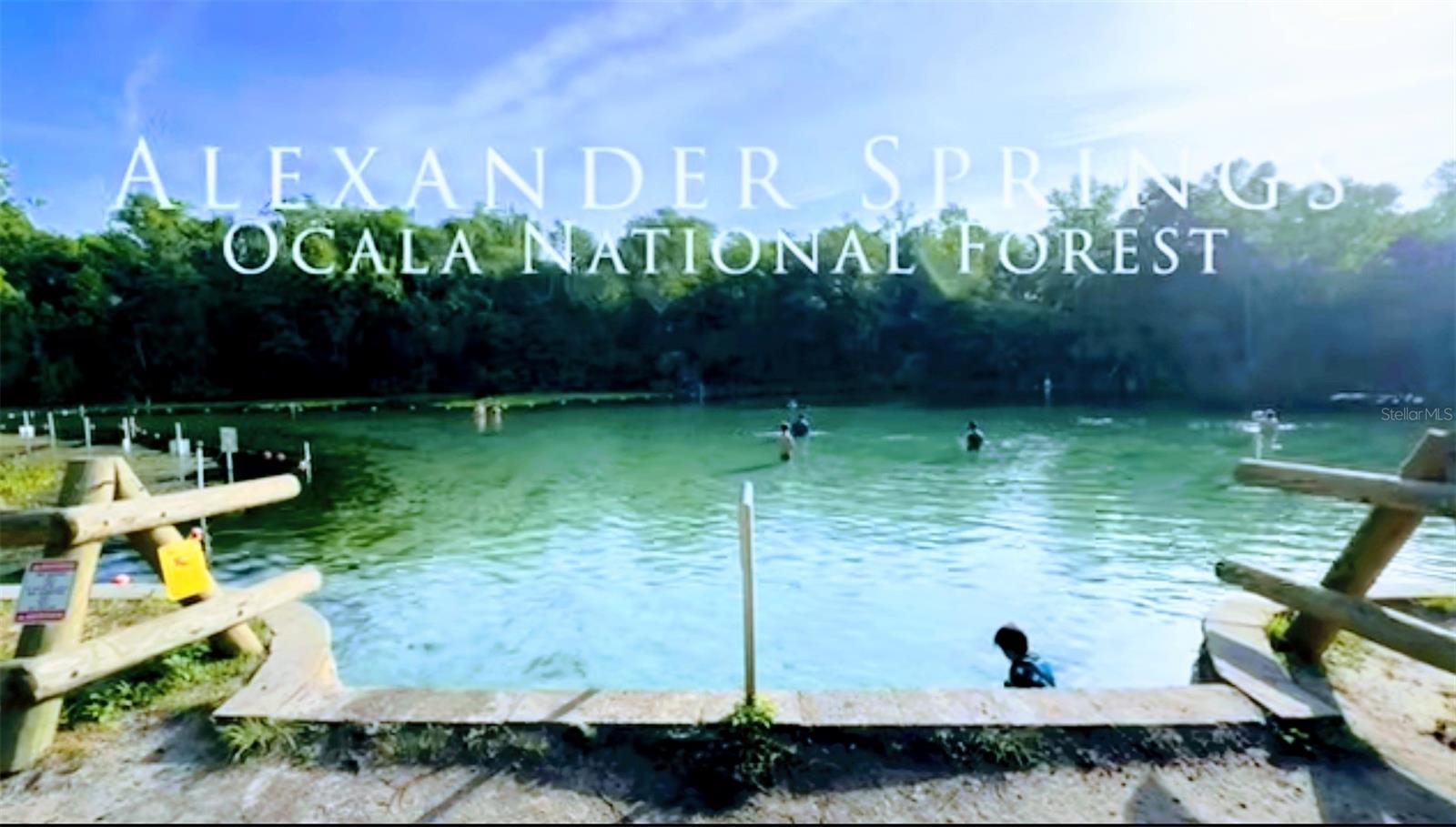 Image 45 of 73 For 13261 155th Lane