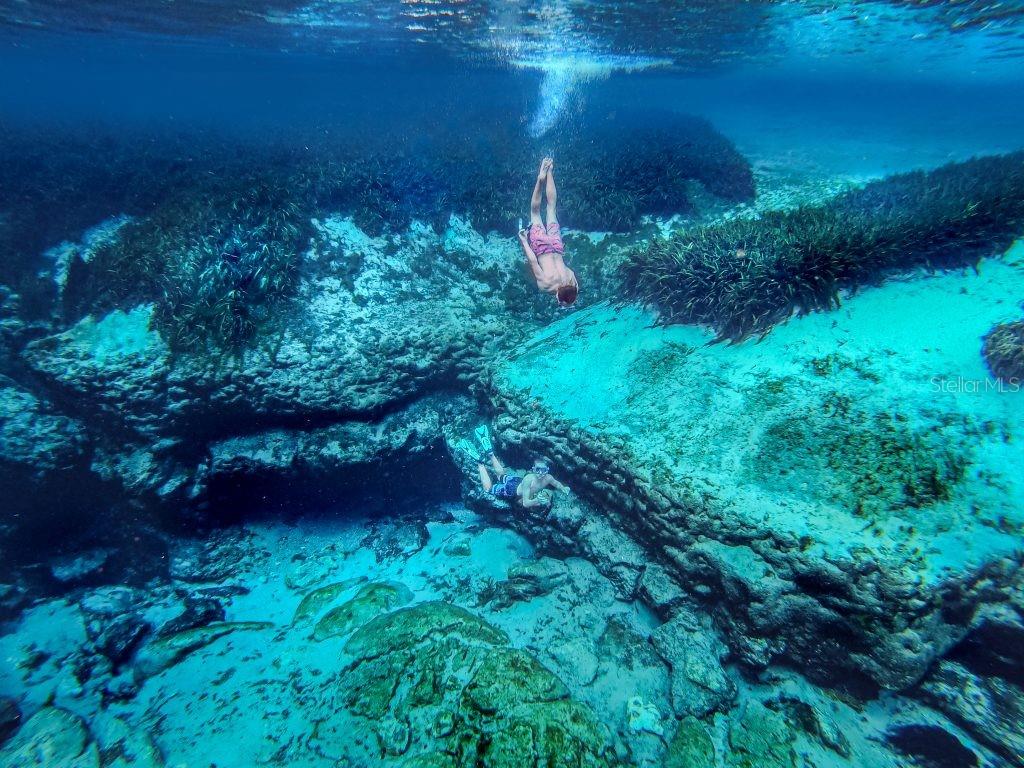 Image 46 of 73 For 13261 155th Lane