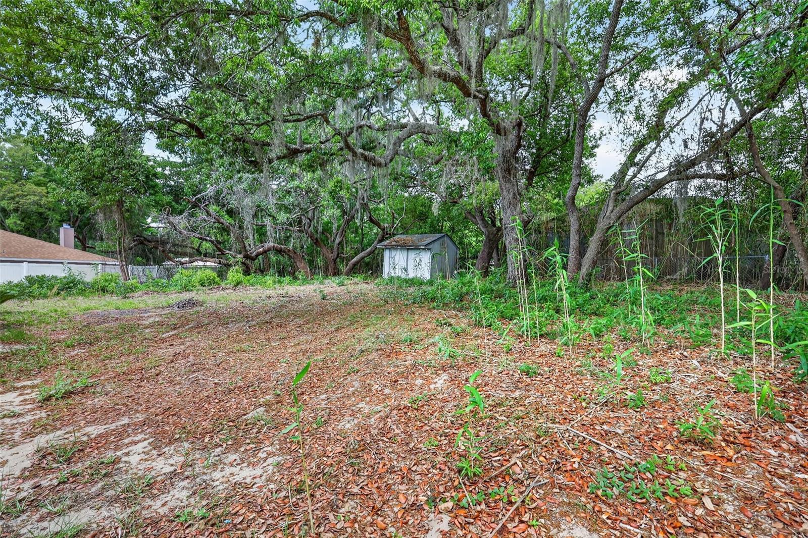 Image 21 of 34 For 40248 Orange Circle