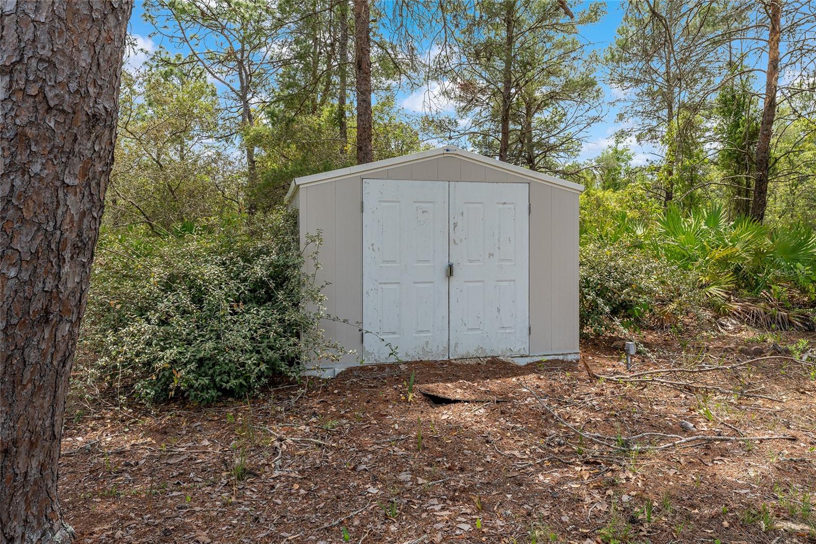 Image 64 of 74 For 8212 Zaval Avenue