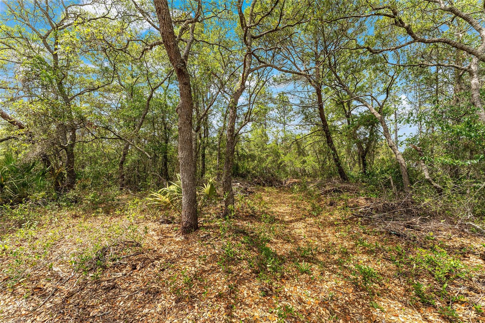 Image 70 of 74 For 8212 Zaval Avenue