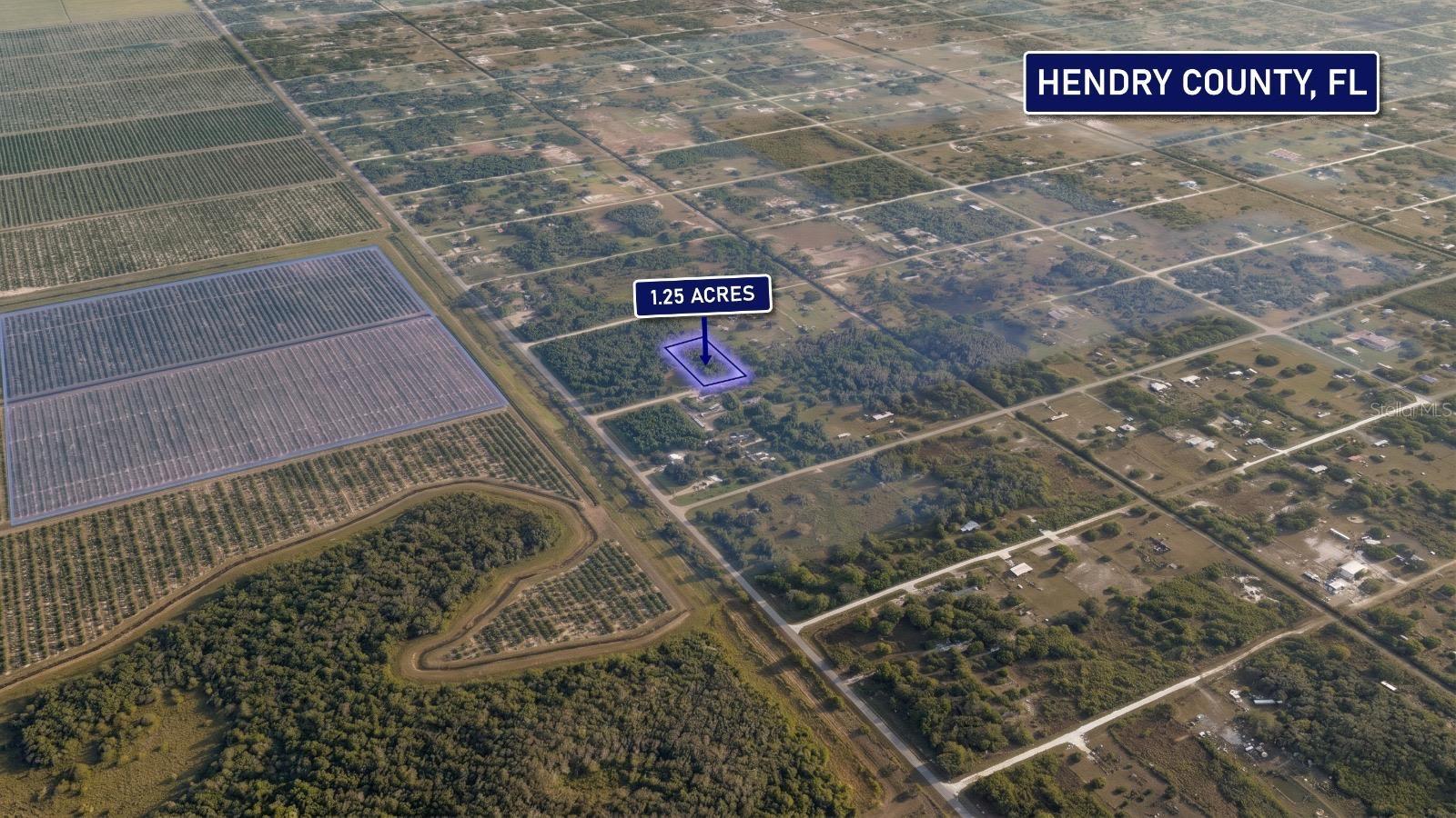 Image 4 of 6 For 855 Isora Street