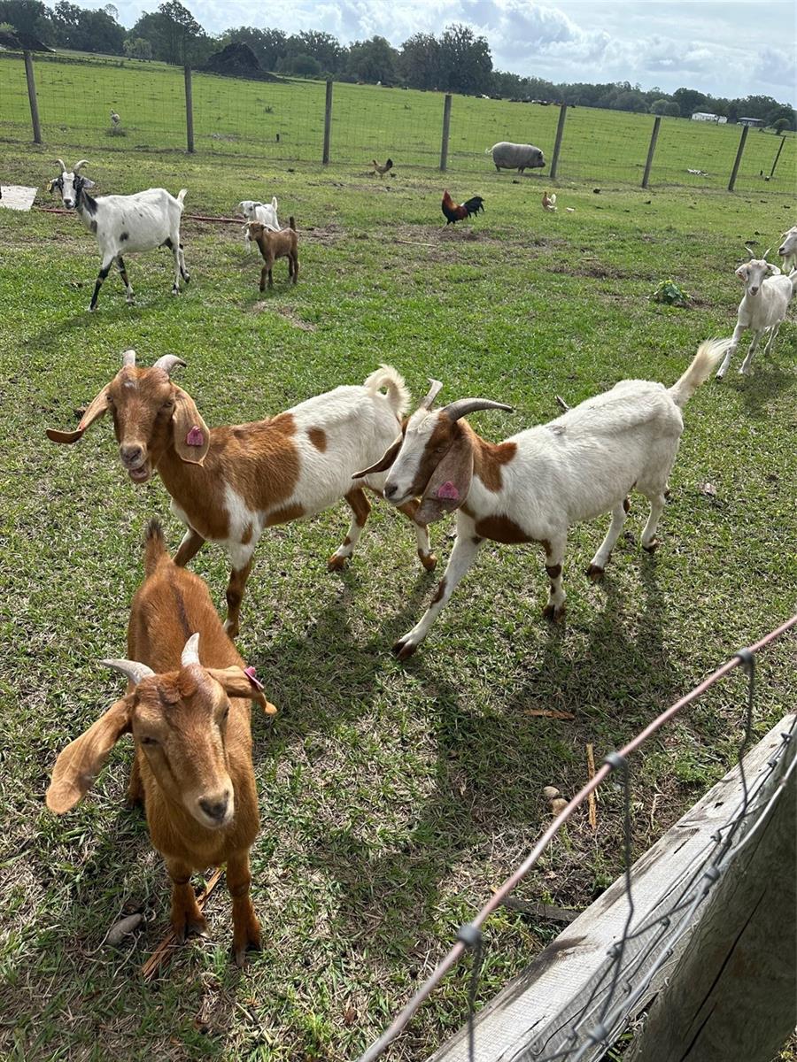 Image 3 of 9 For 15120 85th Street