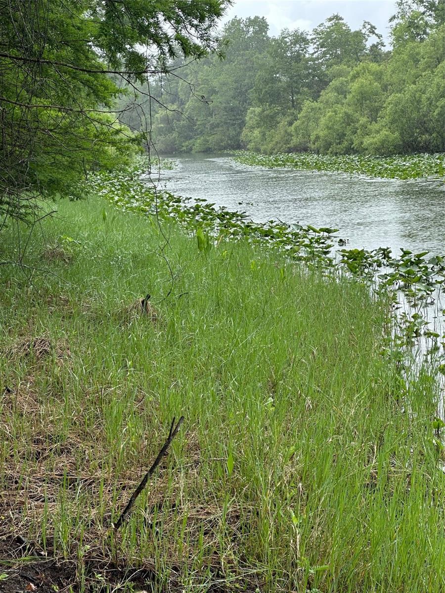 Image 5 of 9 For 15120 85th Street