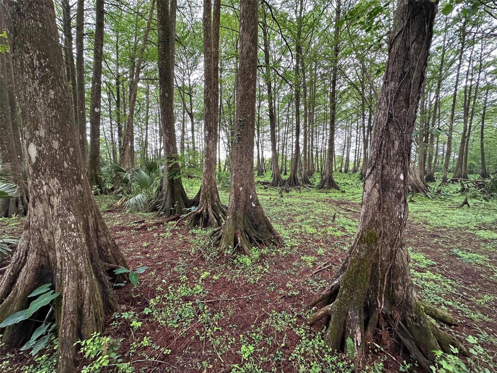 Image 7 of 9 For 15120 85th Street