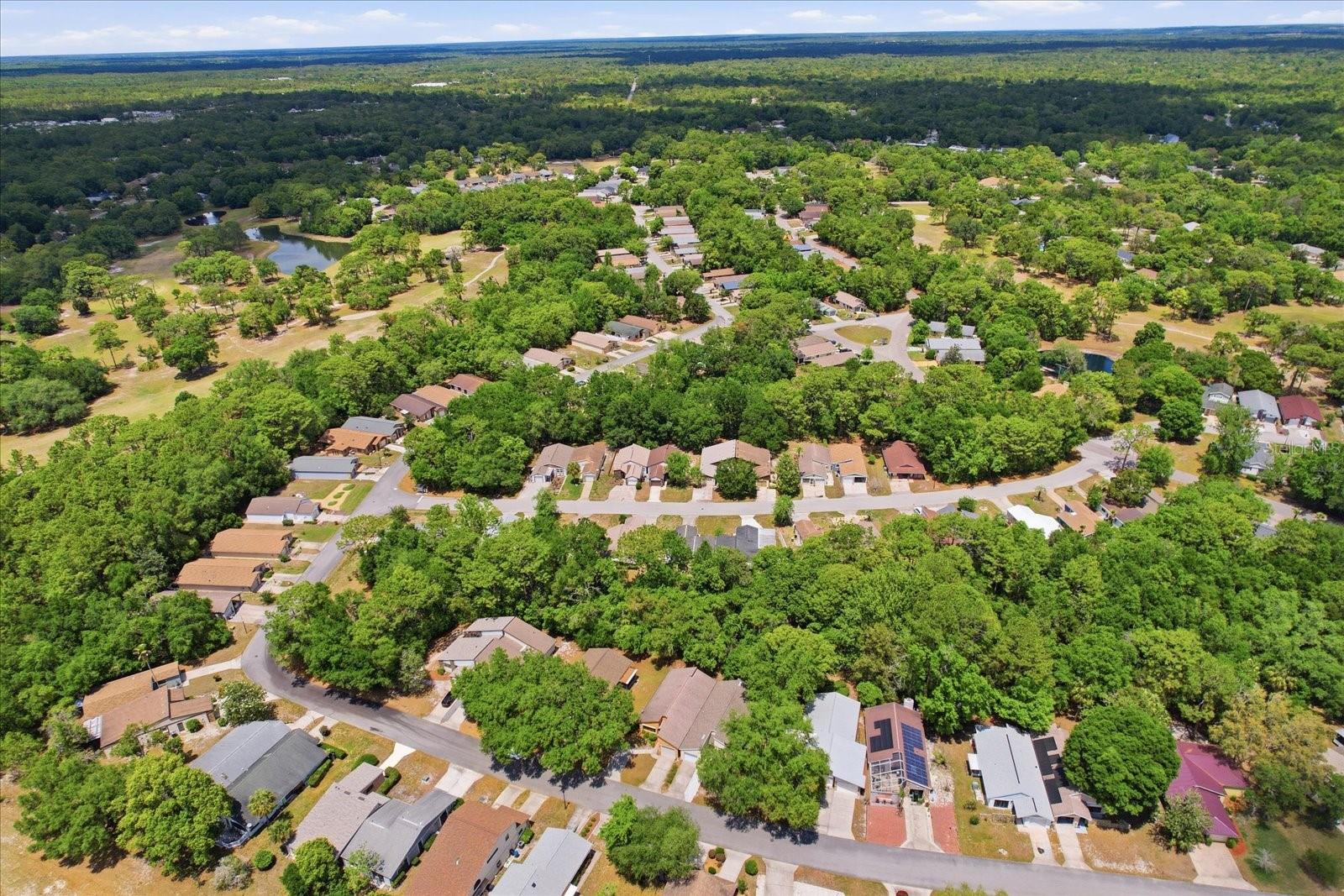 Image 33 of 44 For 54 Jamaica Street