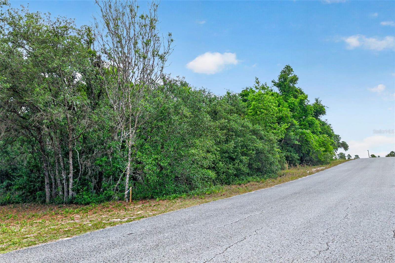 Image 5 of 15 For 1642 Valerie Point