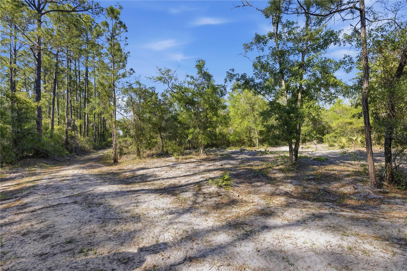 Image 10 of 18 For Tbd 125th Avenue