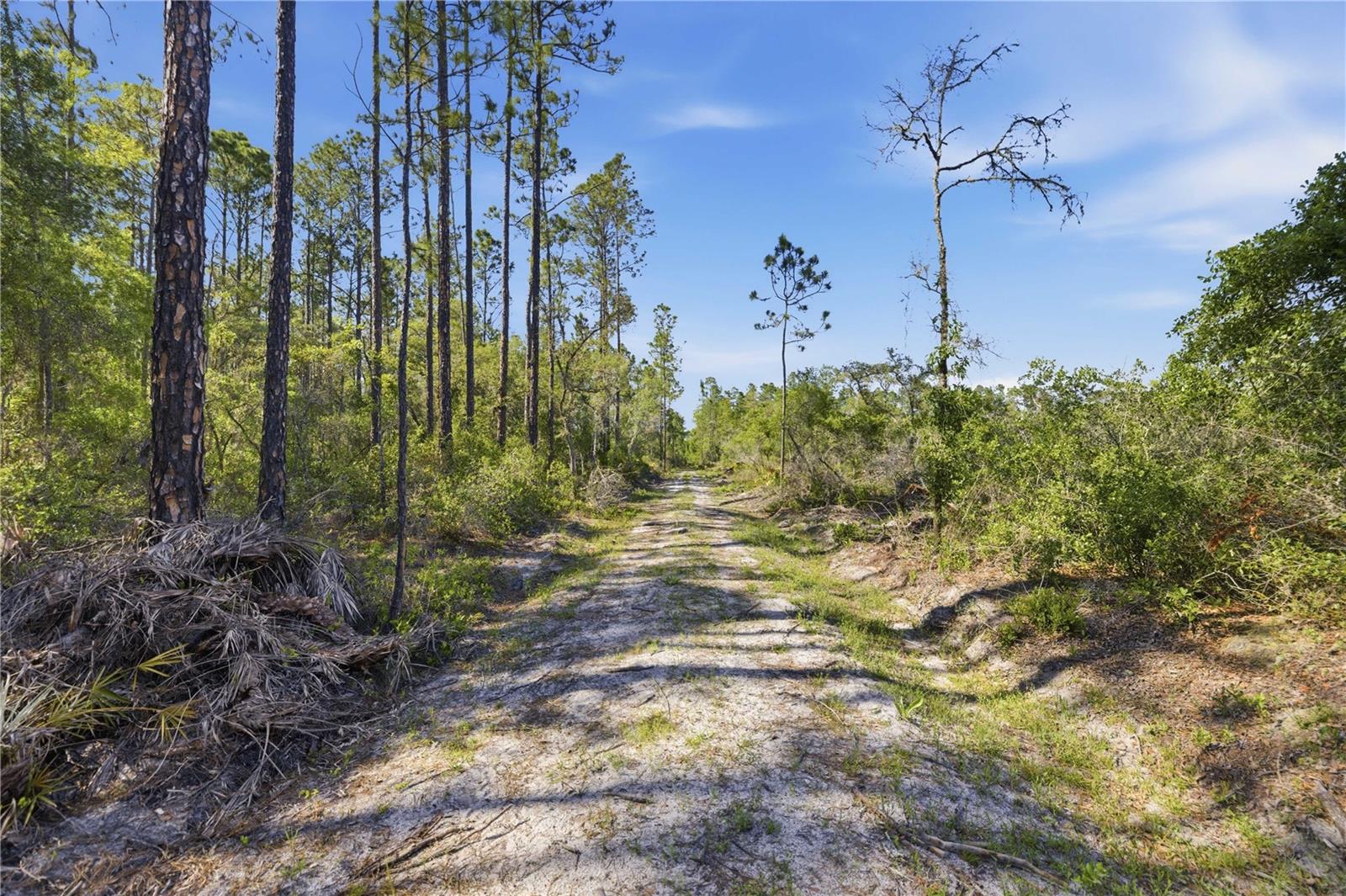 Image 11 of 18 For Tbd 125th Avenue