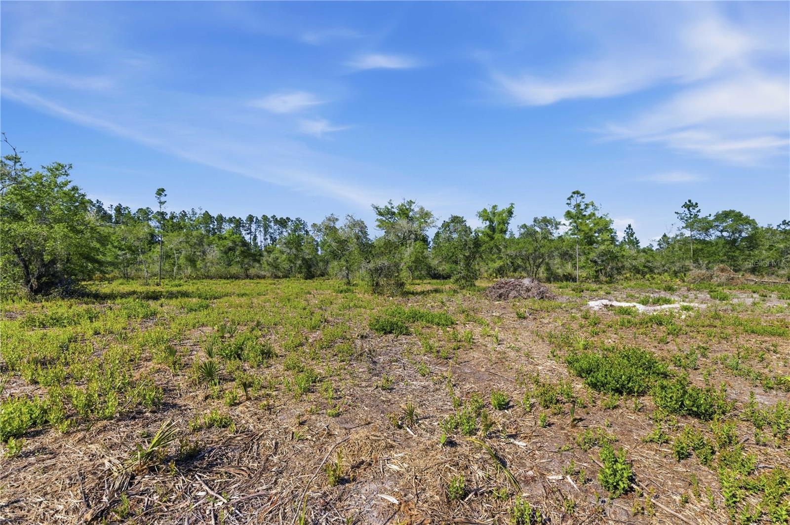 Image 13 of 18 For Tbd 125th Avenue