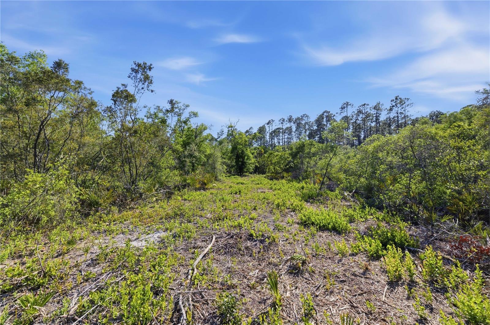 Image 14 of 18 For Tbd 125th Avenue