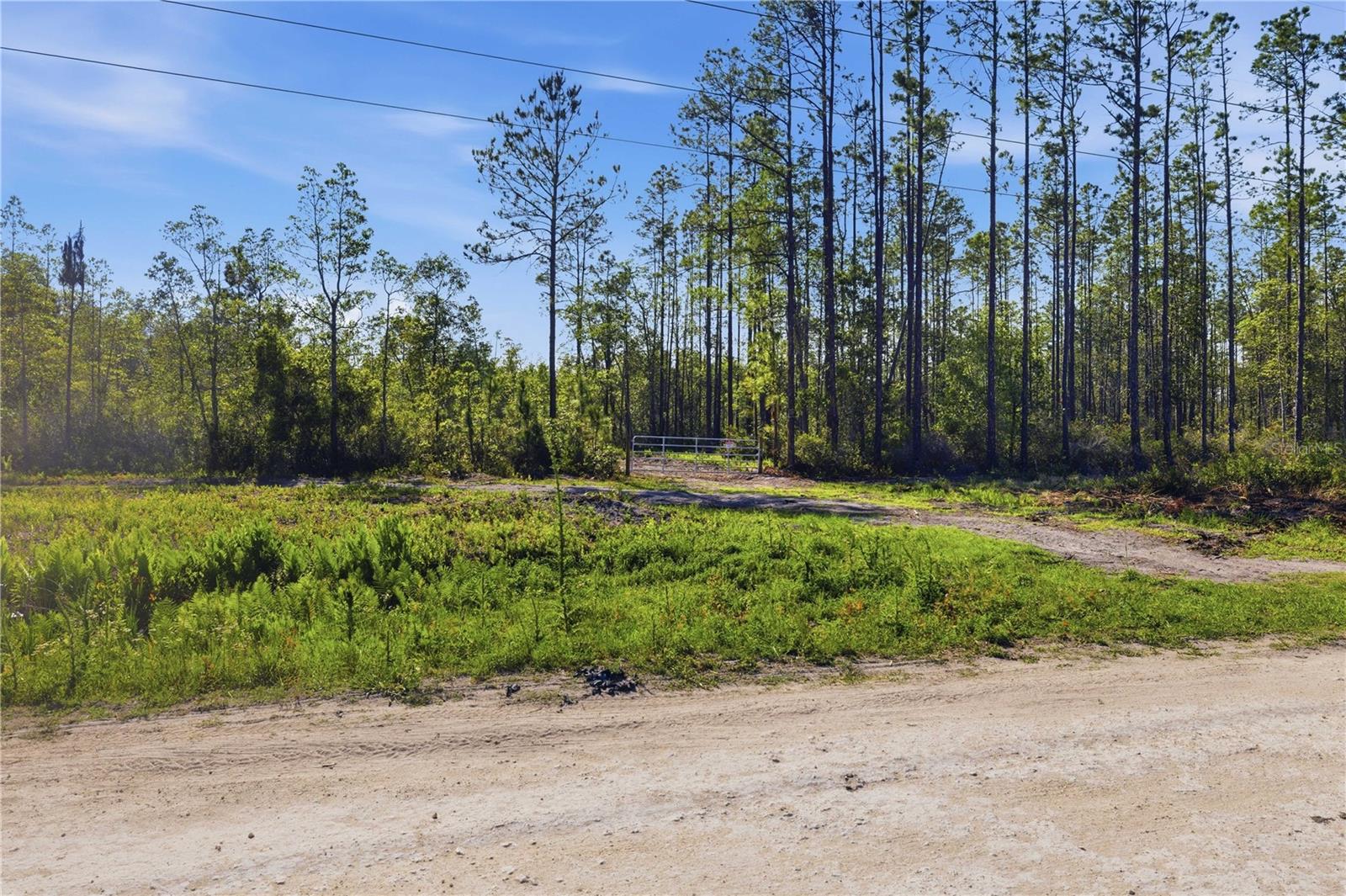 Image 15 of 18 For Tbd 125th Avenue