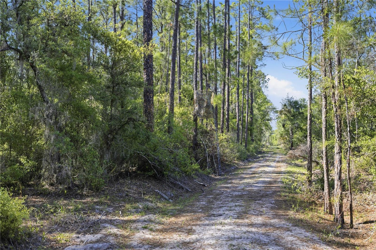 Image 16 of 18 For Tbd 125th Avenue