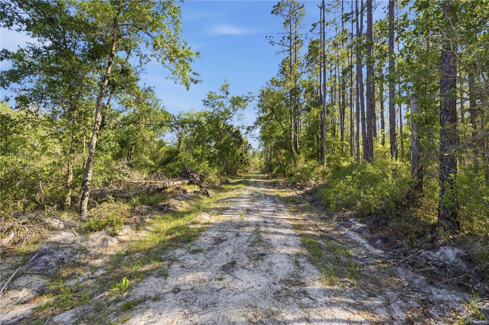 Image 3 of 18 For Tbd 125th Avenue