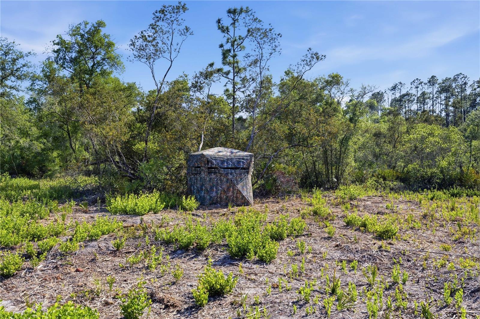 Image 6 of 18 For Tbd 125th Avenue