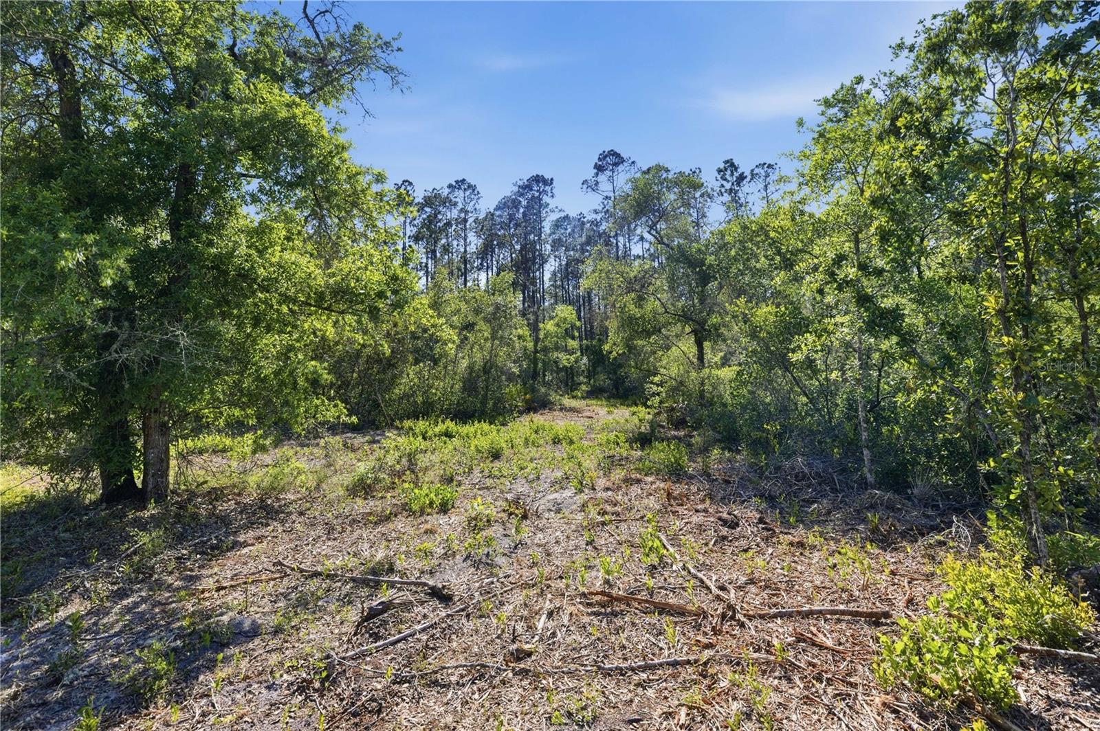 Image 7 of 18 For Tbd 125th Avenue