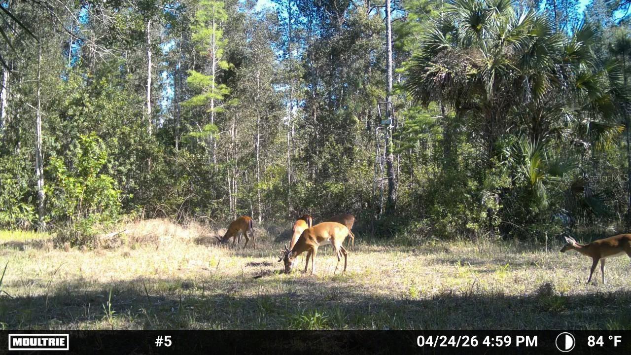 Image 3 of 28 For 16840 Jozach Drive