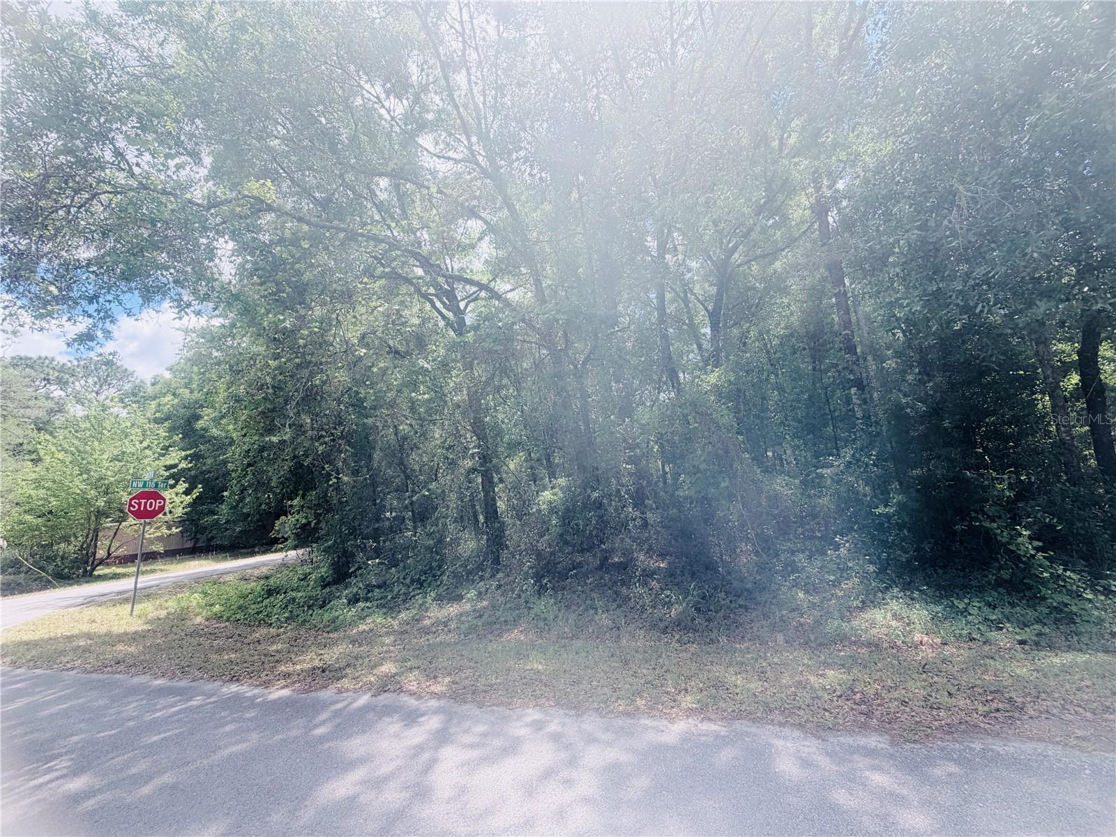 Image 2 of 6 For Tbd 120th St