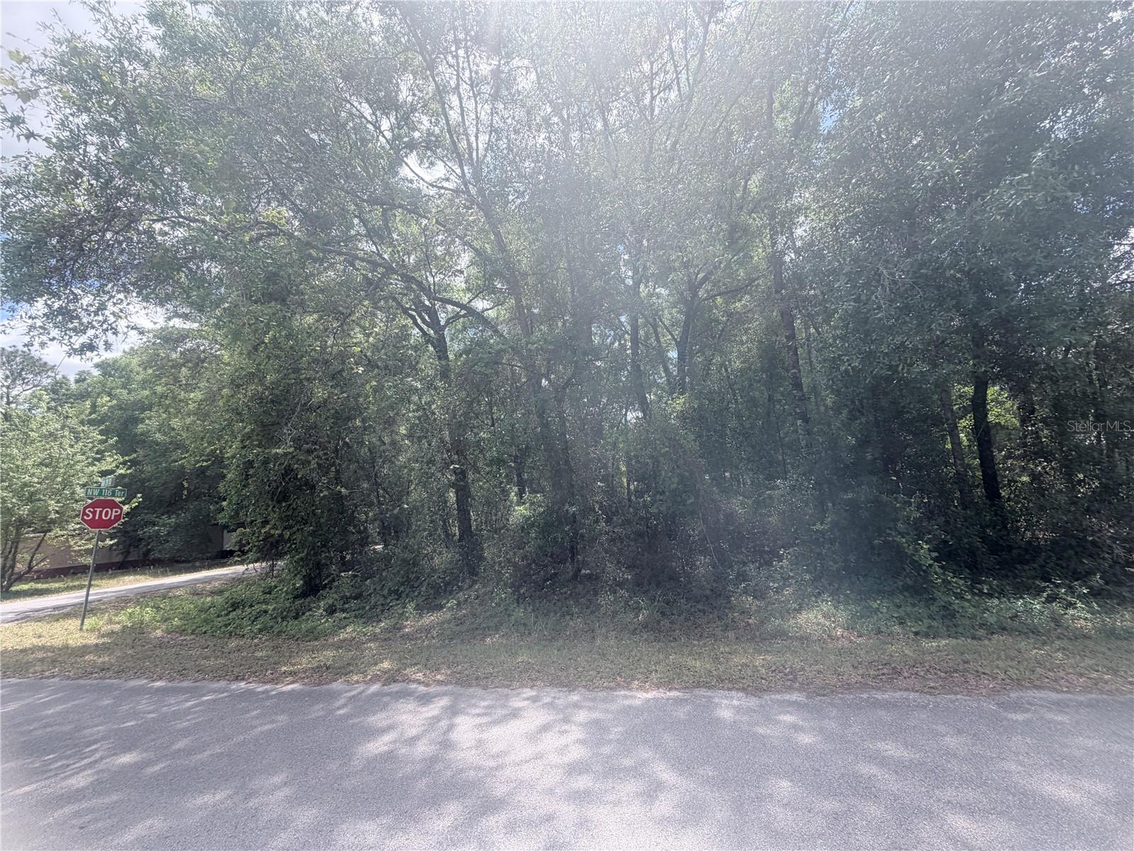 Image 3 of 6 For Tbd 120th St