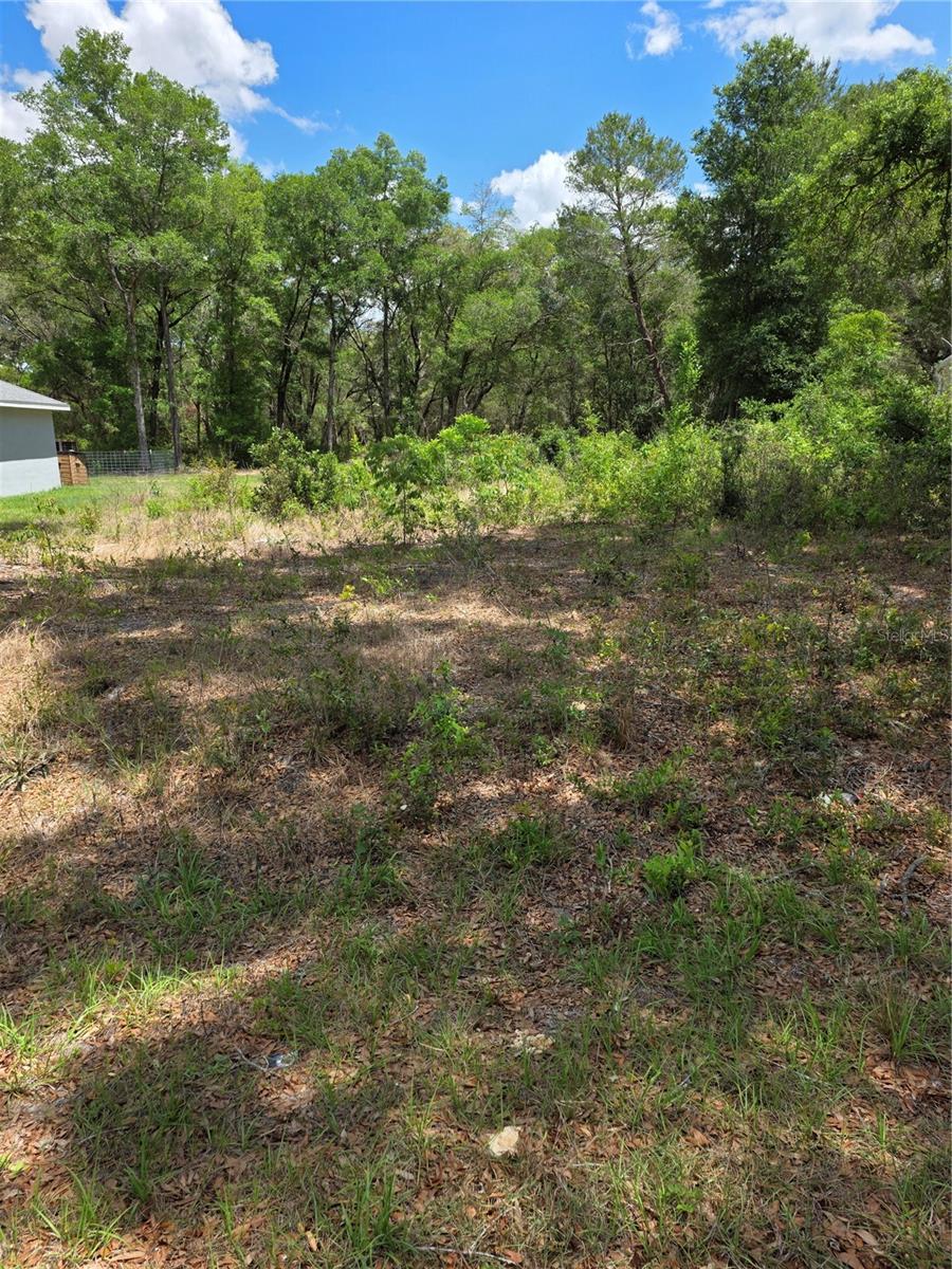 Details for 10679 110th Court, DUNNELLON, FL 34432