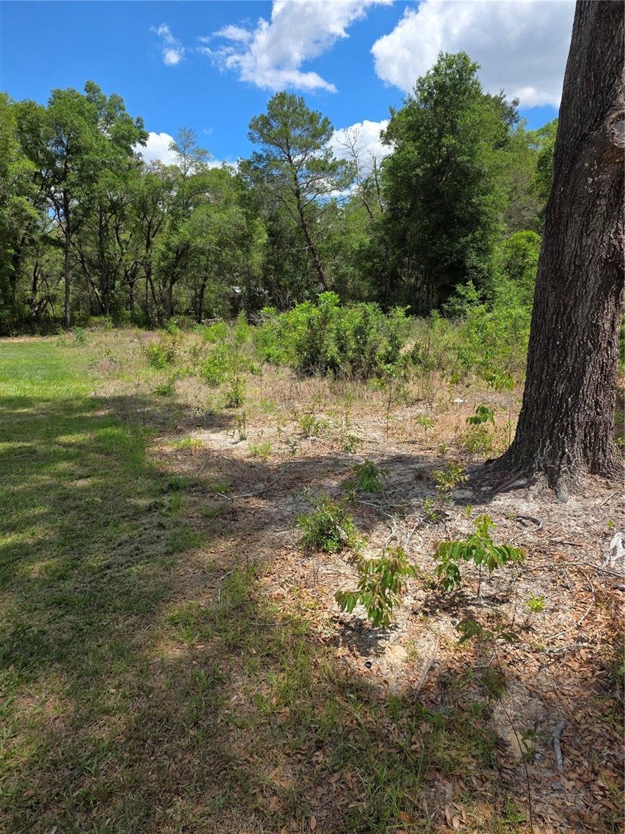 Image 2 of 7 For 10679 110th Court