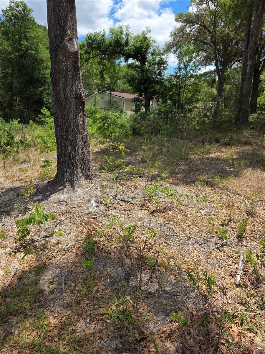 Image 3 of 7 For 10679 110th Court