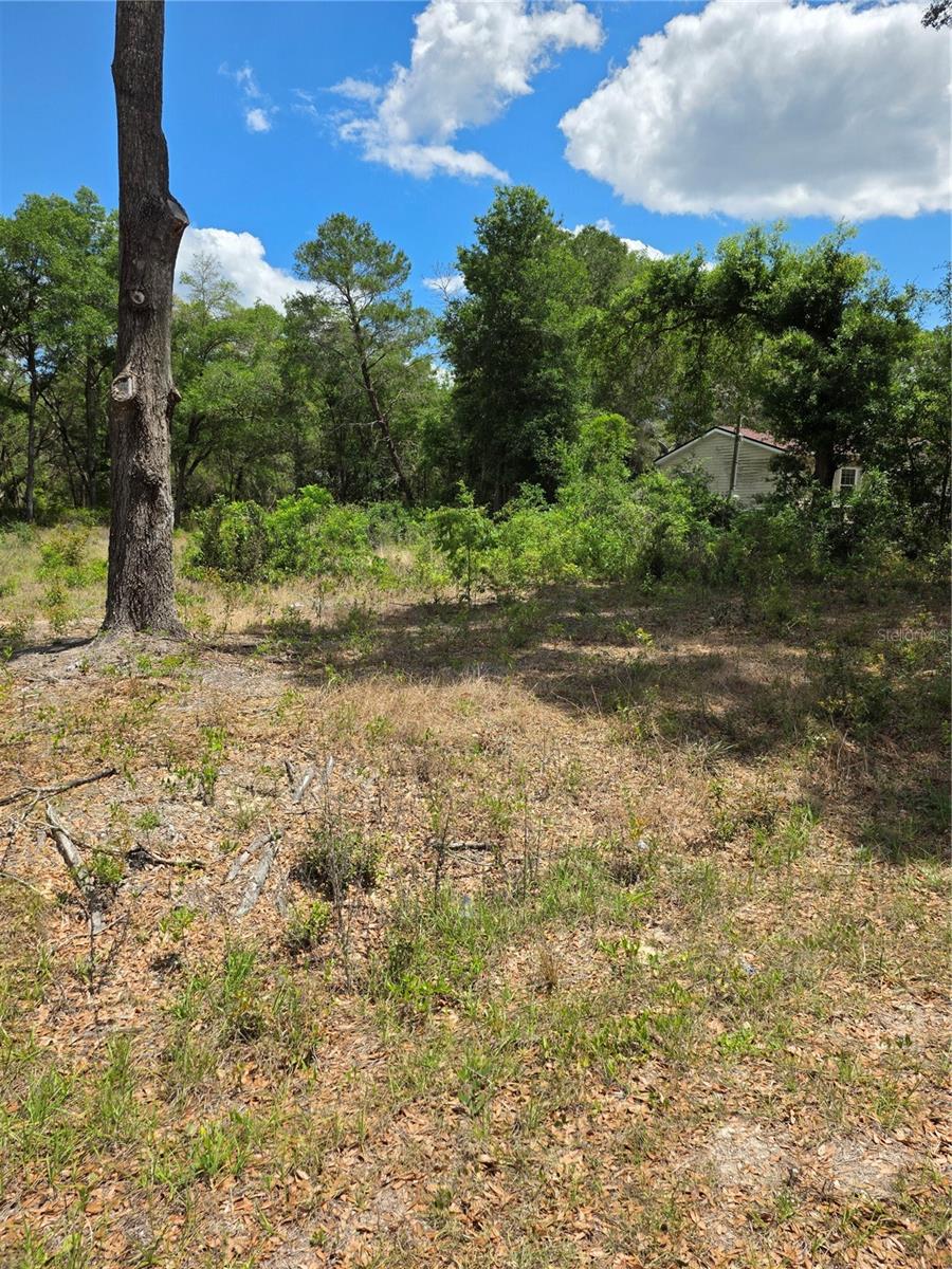 Image 4 of 7 For 10679 110th Court