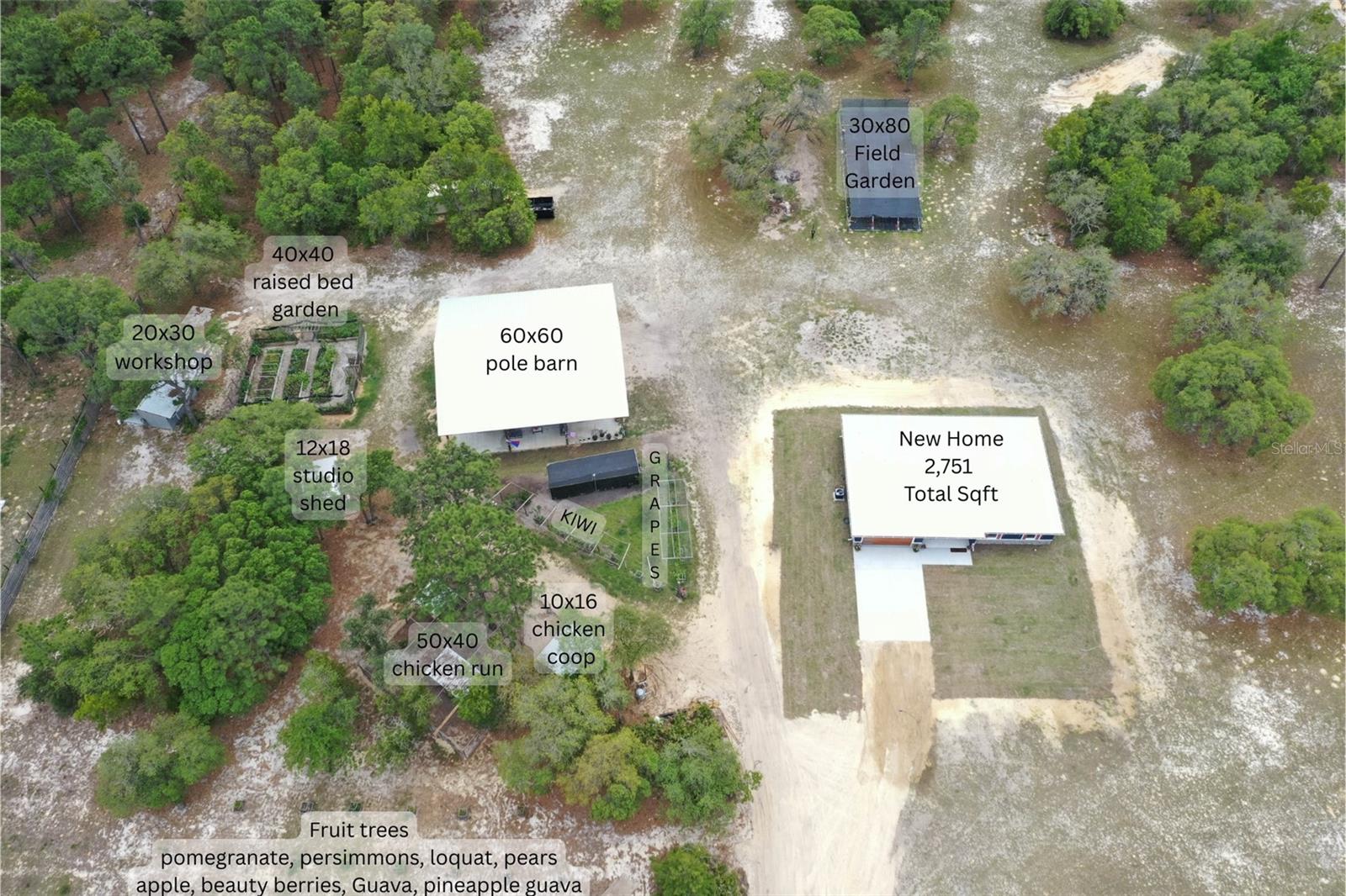 Image 86 of 99 For 6254 Peking Court