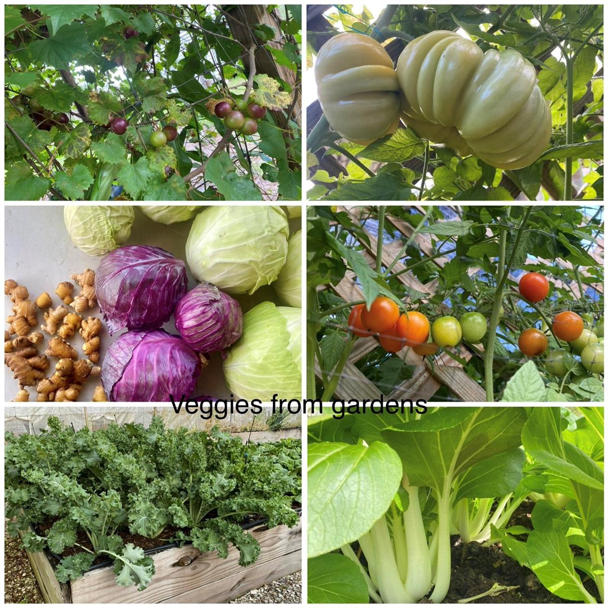 Image 92 of 99 For 6254 Peking Court