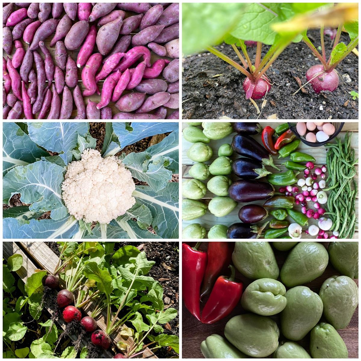 Image 94 of 99 For 6254 Peking Court