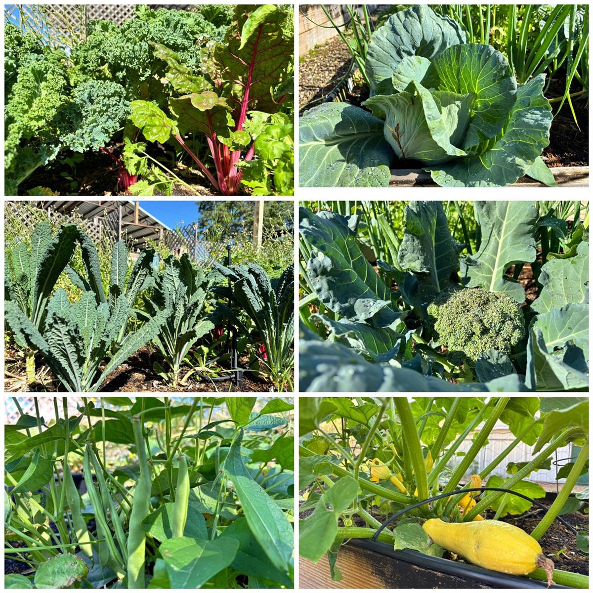 Image 95 of 99 For 6254 Peking Court