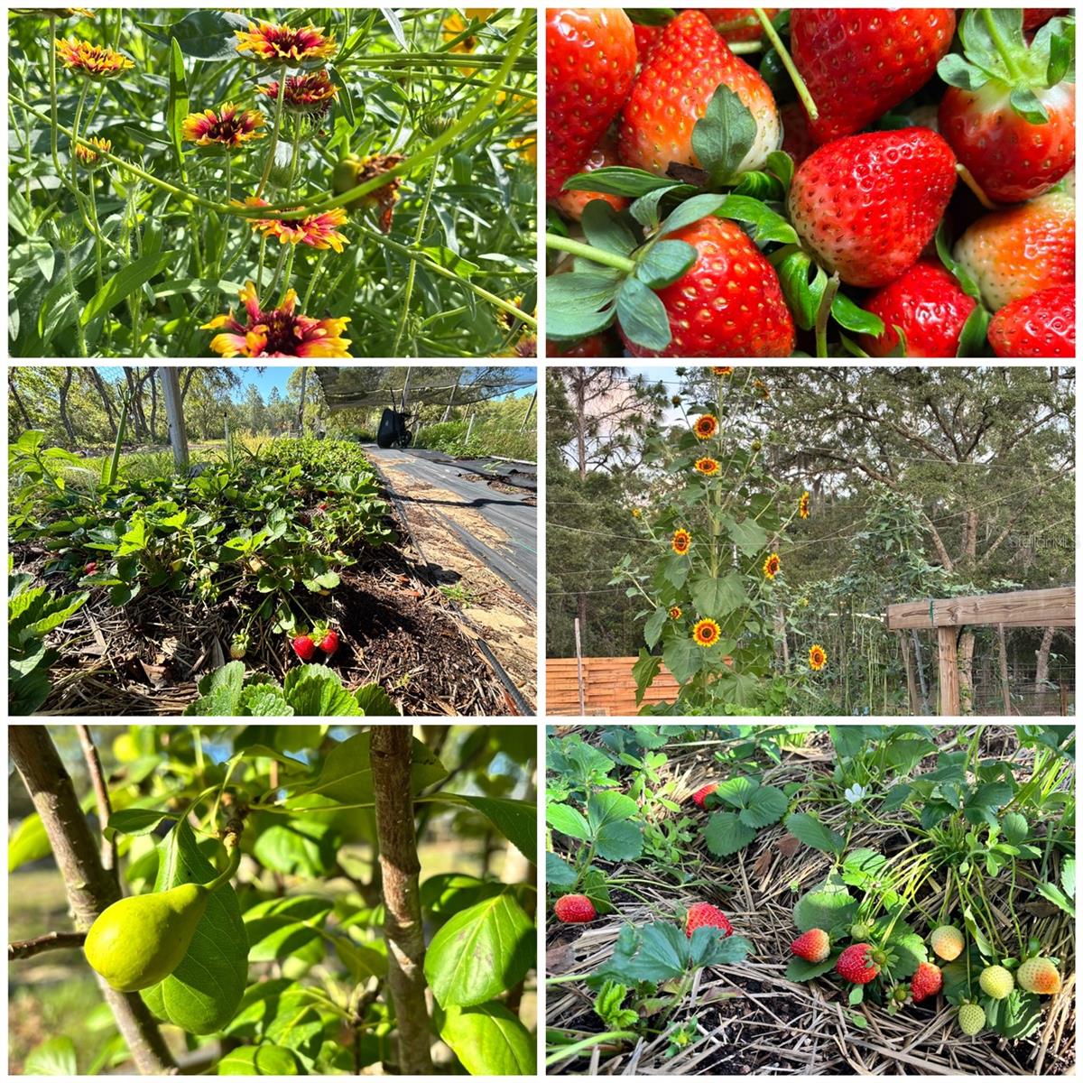 Image 96 of 99 For 6254 Peking Court