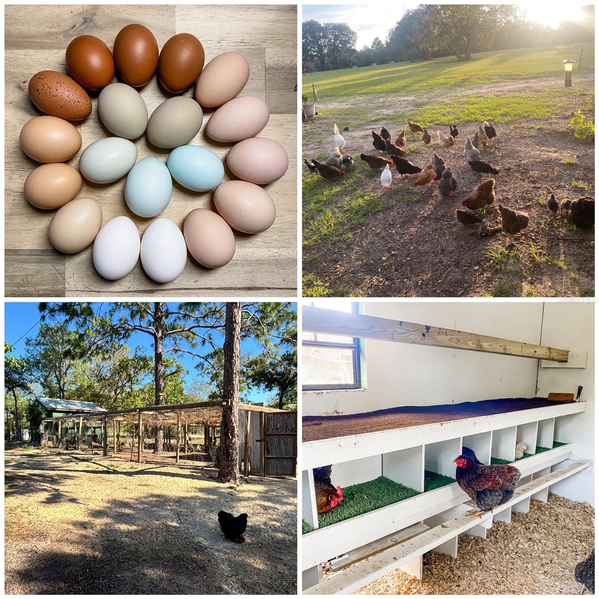 Image 97 of 99 For 6254 Peking Court