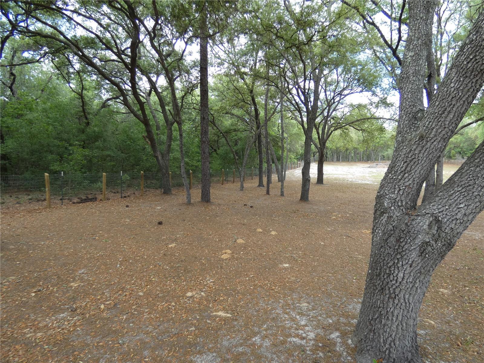 Image 2 of 11 For 20865 70th Street