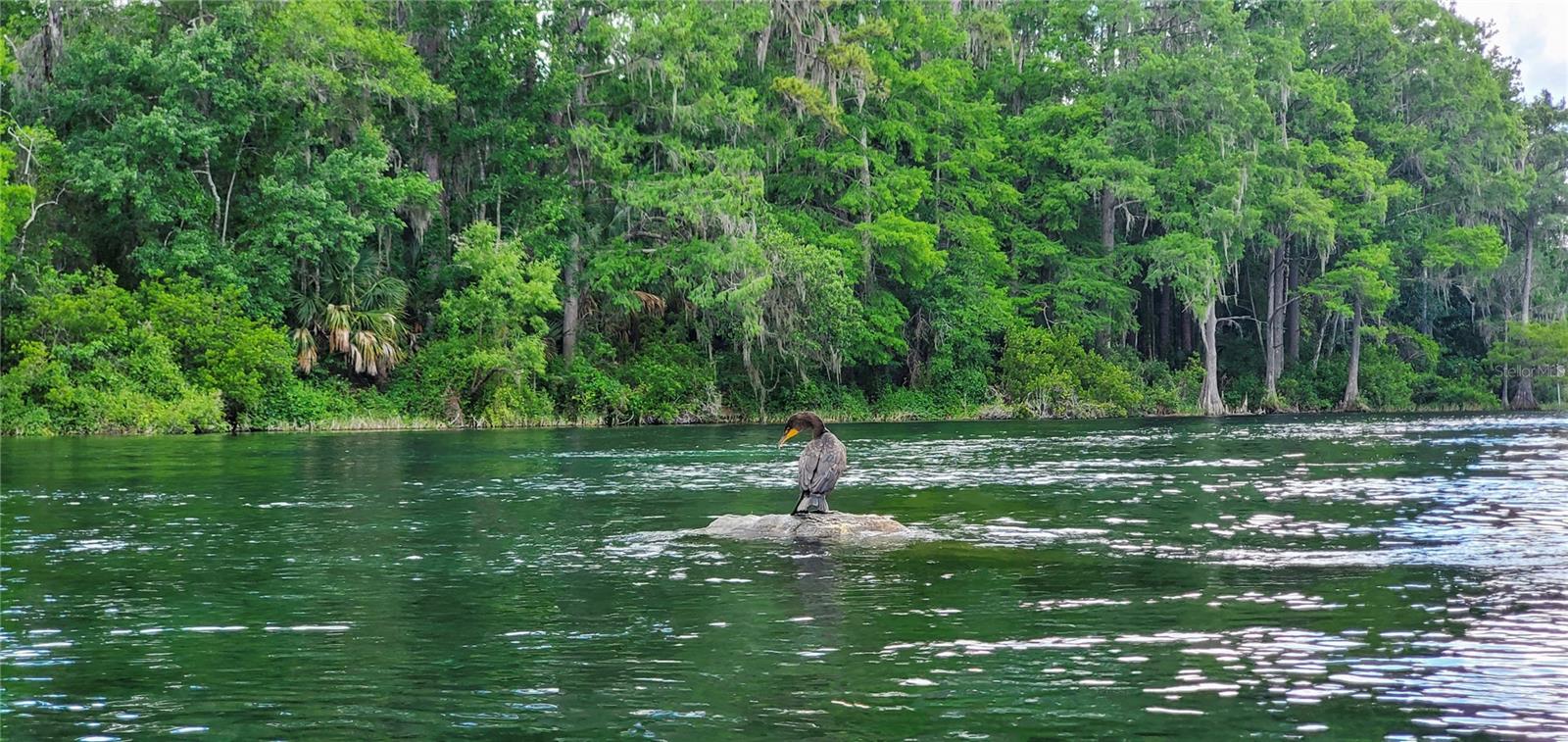 Image 82 of 91 For 19660 83rd Place Road C16