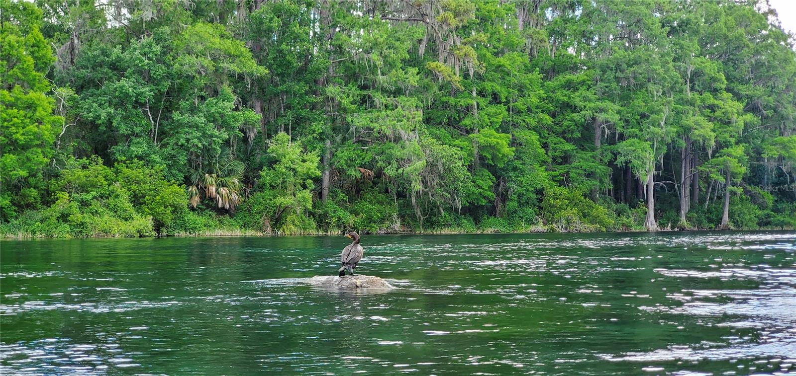 Image 83 of 91 For 19660 83rd Place Road C16