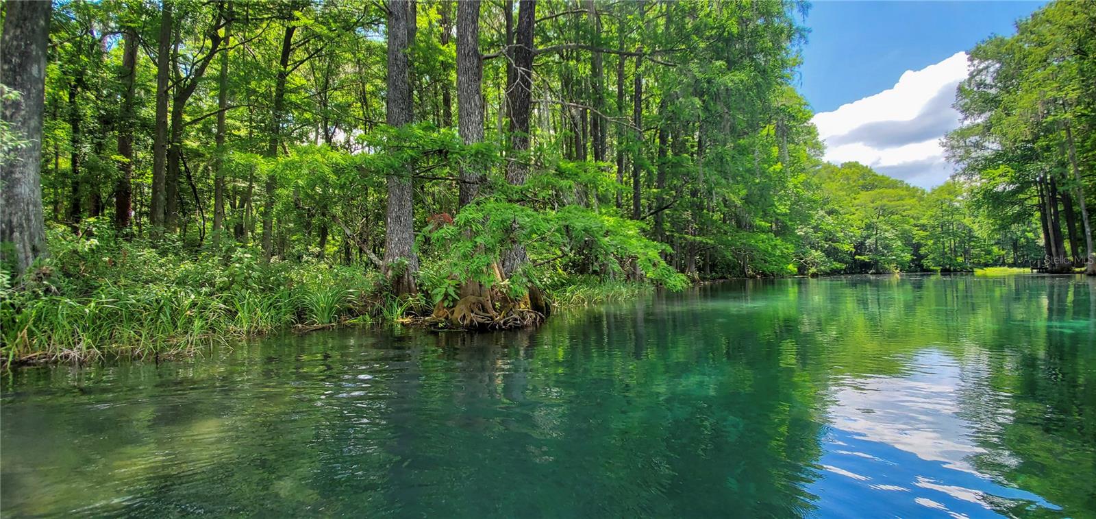 Image 87 of 91 For 19660 83rd Place Road C16